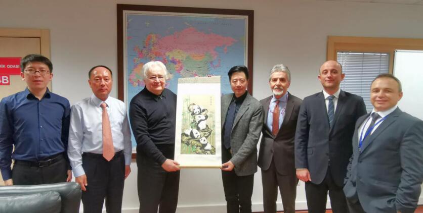 ���Ÿ������Ӹ������䷢չ����Ǣ̸