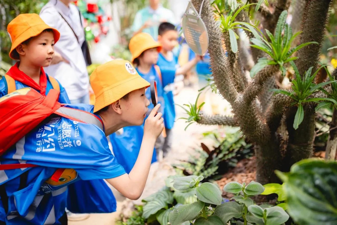 4554b9d2-6cb1-4c6f-9eca-26e824007c81 4554b9d2-6cb1-4c6f-9eca-26e824007c81