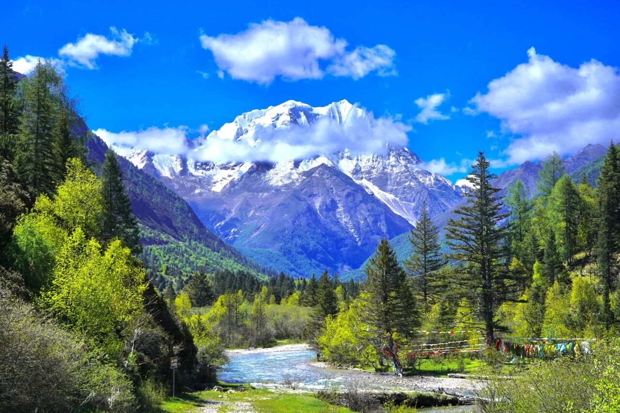 a54b453c-2d84-4335-89b3-70ebaa5c2577 a54b453c-2d84-4335-89b3-70ebaa5c2577