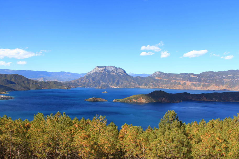 41ad11b7-6206-4555-8ed1-873ed17575ac 41ad11b7-6206-4555-8ed1-873ed17575ac