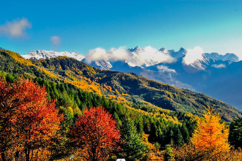 6a6b8e5b-782d-4240-867c-2e39f1432f94 6a6b8e5b-782d-4240-867c-2e39f1432f94