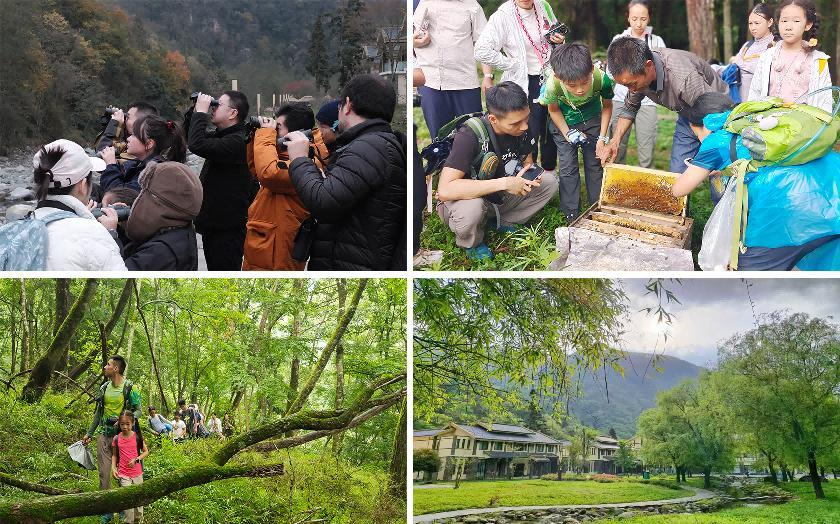 7ea2d369-c8d3-4332-99bb-f01ab755a0e2 7ea2d369-c8d3-4332-99bb-f01ab755a0e2