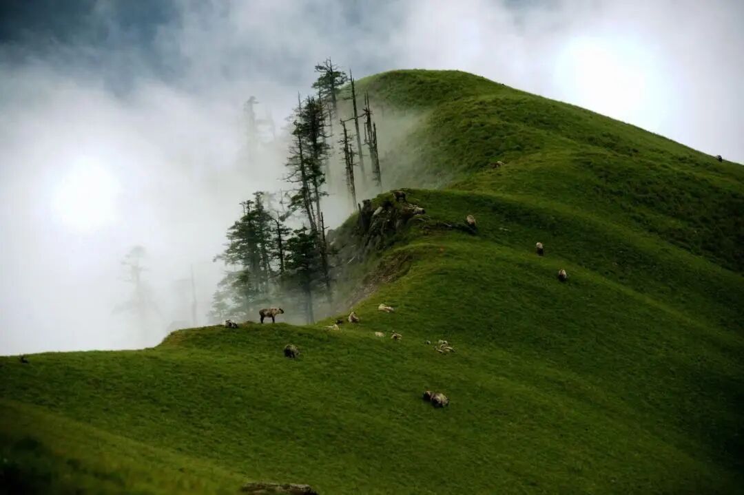 ae302ab1-5f27-4e36-a081-a4c4dde9335a ae302ab1-5f27-4e36-a081-a4c4dde9335a