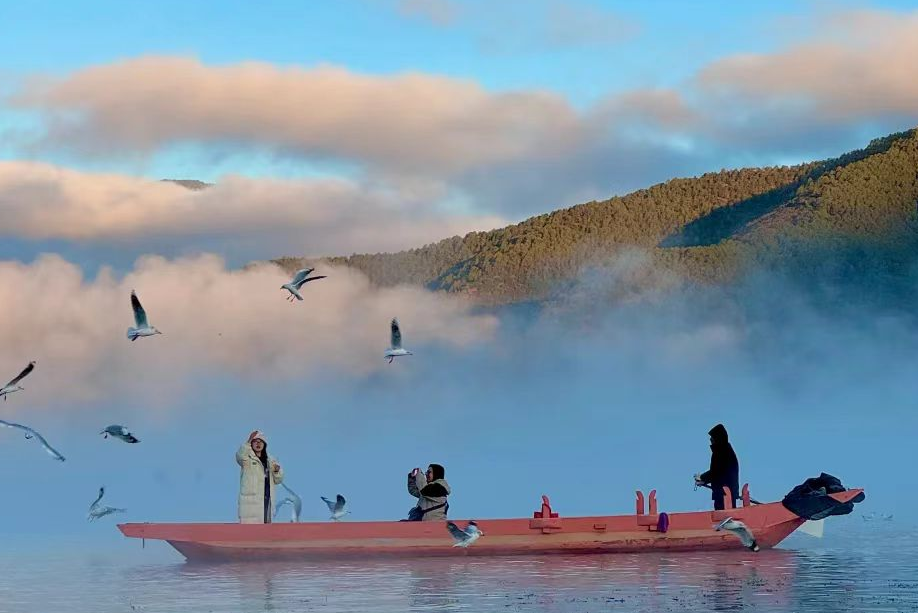 1b52d5de-c902-49d0-aac4-b16b6ed1b2e4 1b52d5de-c902-49d0-aac4-b16b6ed1b2e4